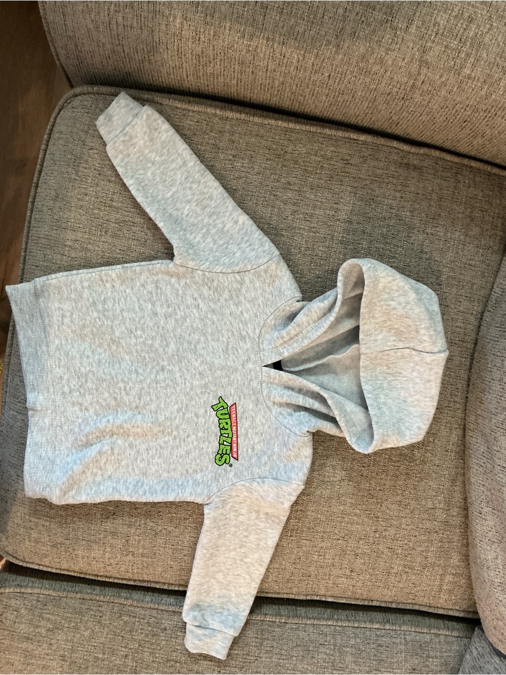 Nickelodeon Gray Zip-Up Hoodie with Green & Red Turtle Logo